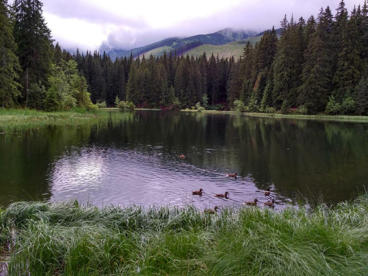 Chalet 3 Domky 182 Demanovska Dolina Luaran gambar